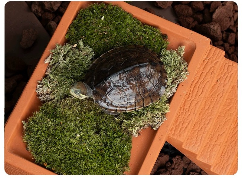 Plataforma de Descanso para Ta - Hide Cave Ceramic avaliação e preço