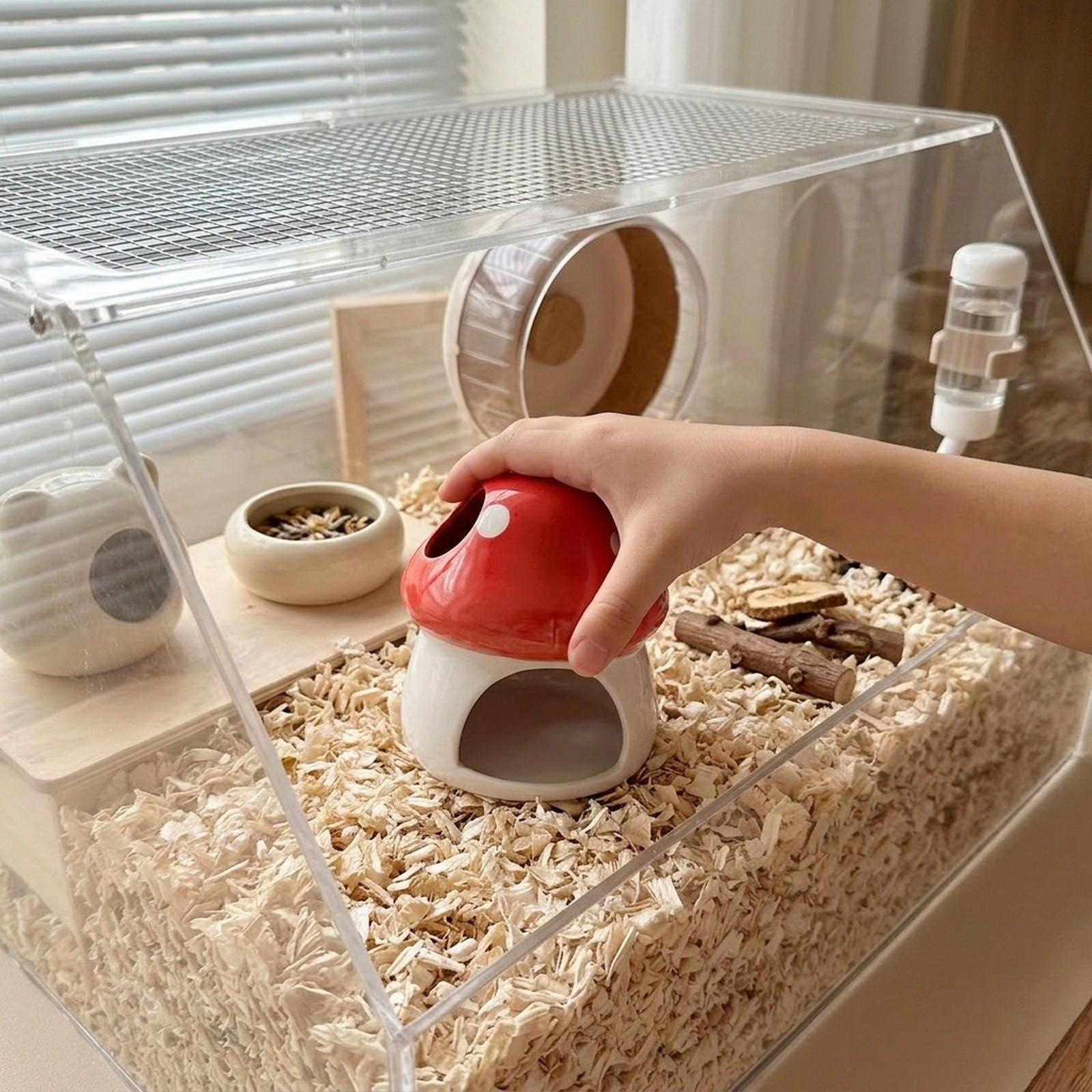 Casa de Cerâmica para Hamster, - Hide Cave Ceramic avaliação e preço