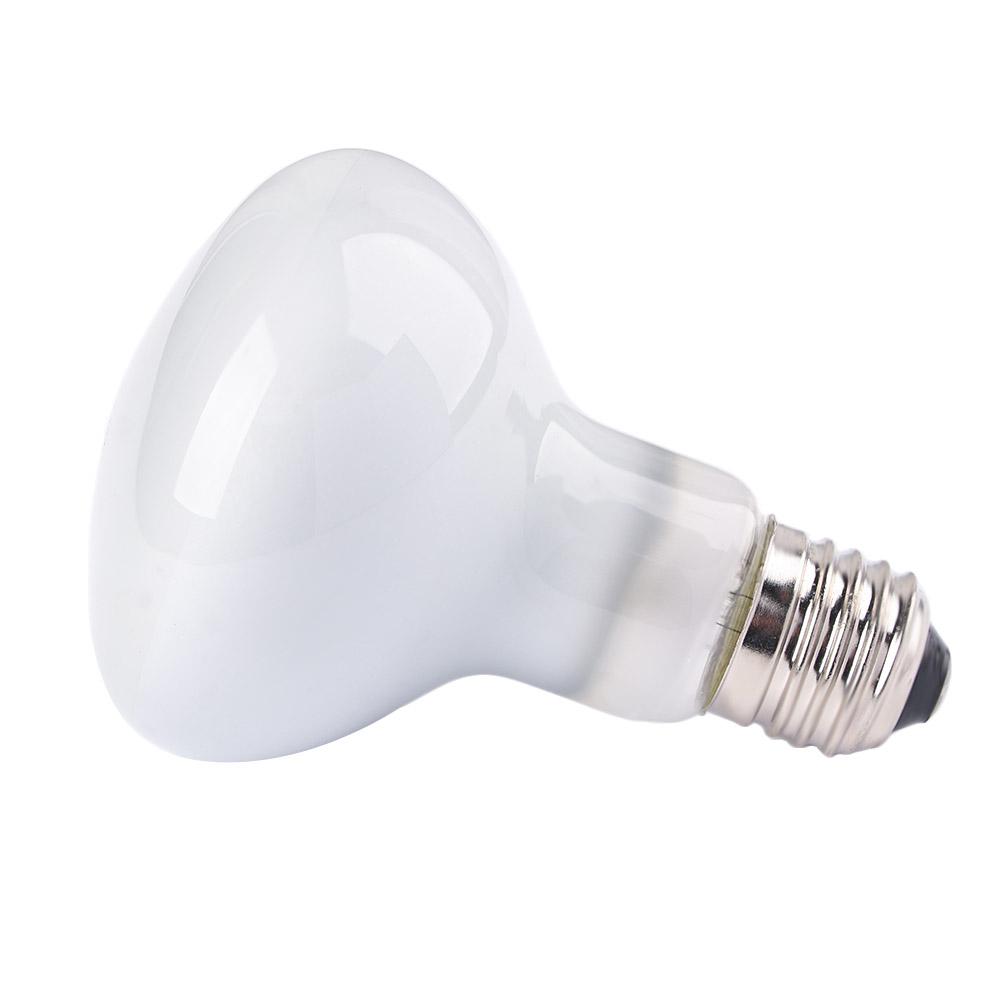 Controlador de Temperatura par - Basking Bulb Halogen avaliação e preço