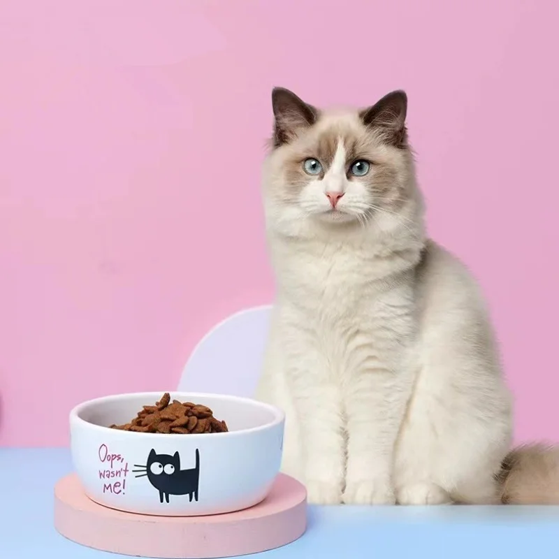 Moda dos desenhos animados peq - Royal Canin Food Medium avaliação e preço